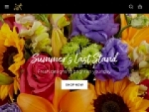 Summer Birthday Flowers And Gifts From $19.99