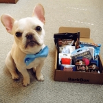 Barkbox Coupons