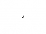 Allbirds Discount Codes